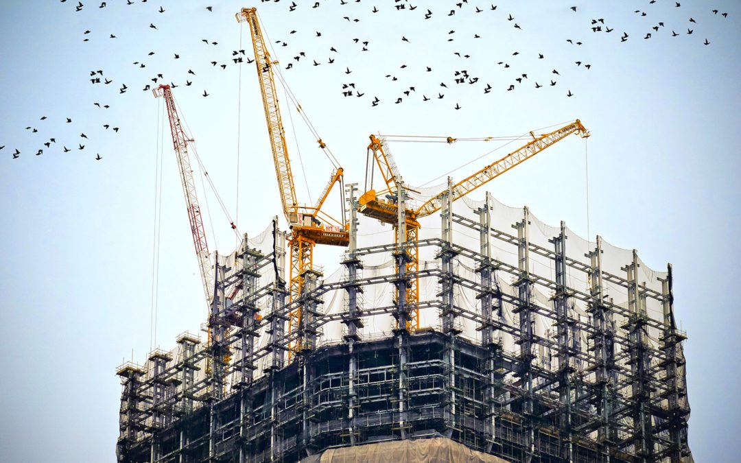 The Building Process