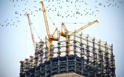 The Building Process
